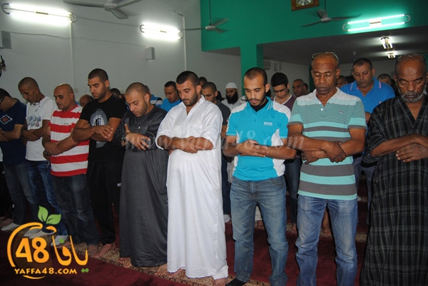 trawe7 zatona (12).JPG